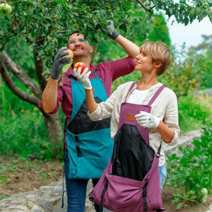 Shopping for a Gardening Apron
