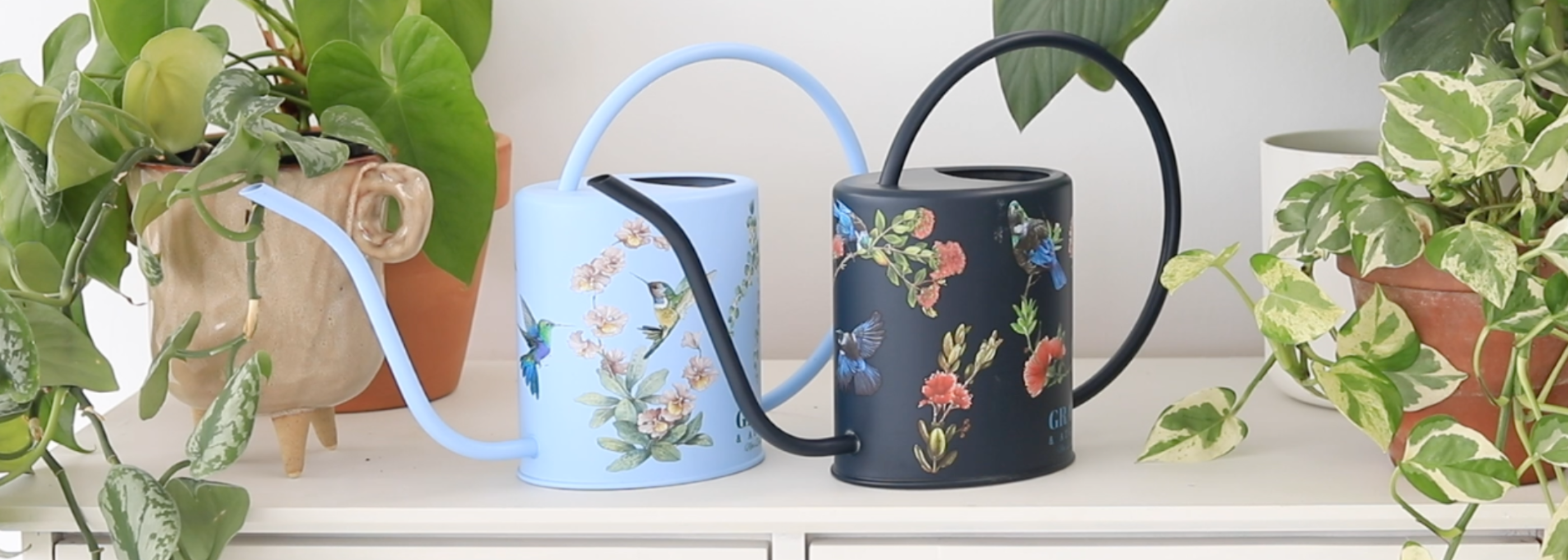 Indoor watering Cans