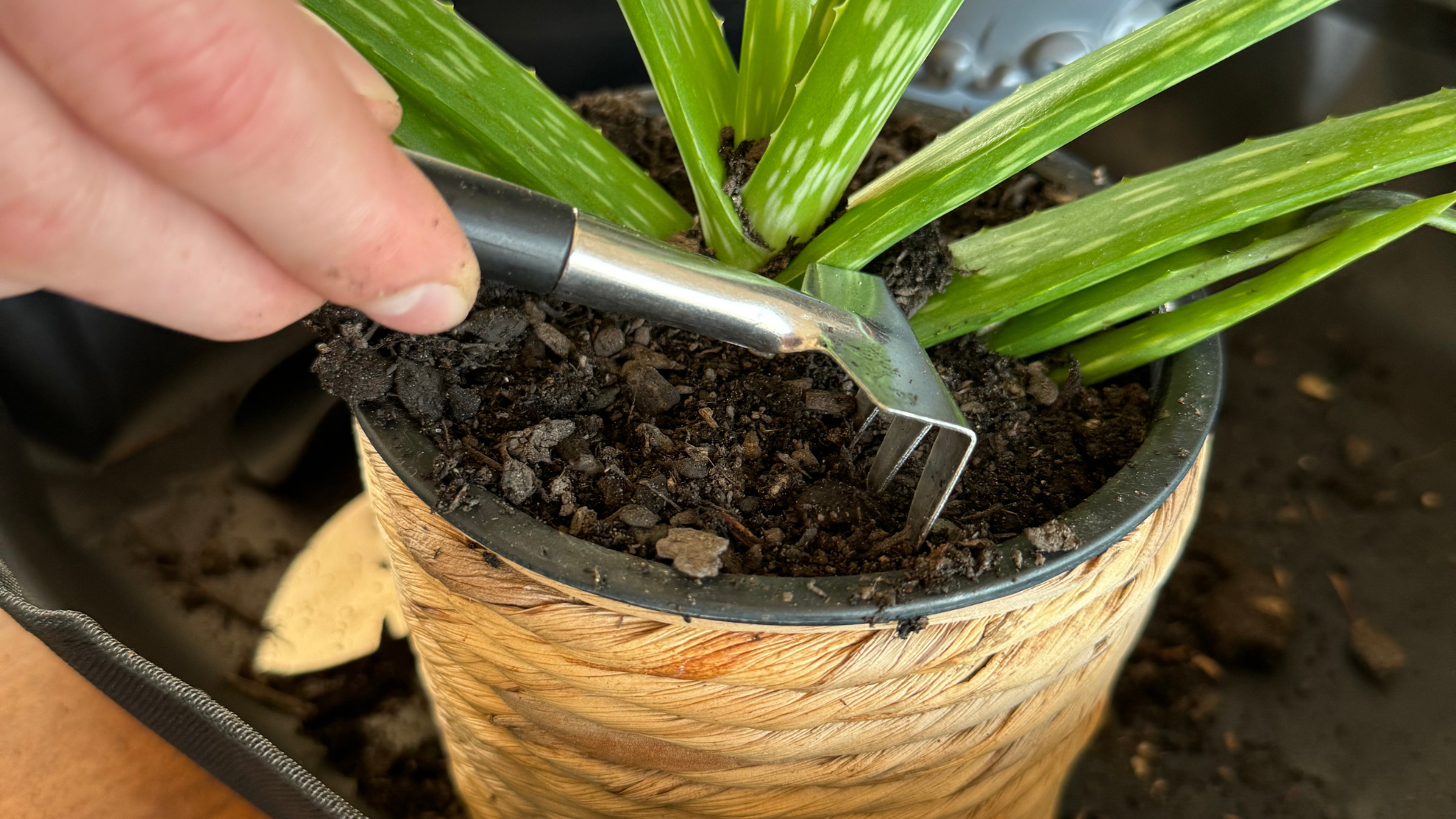 Houseplant Tools & Accessories