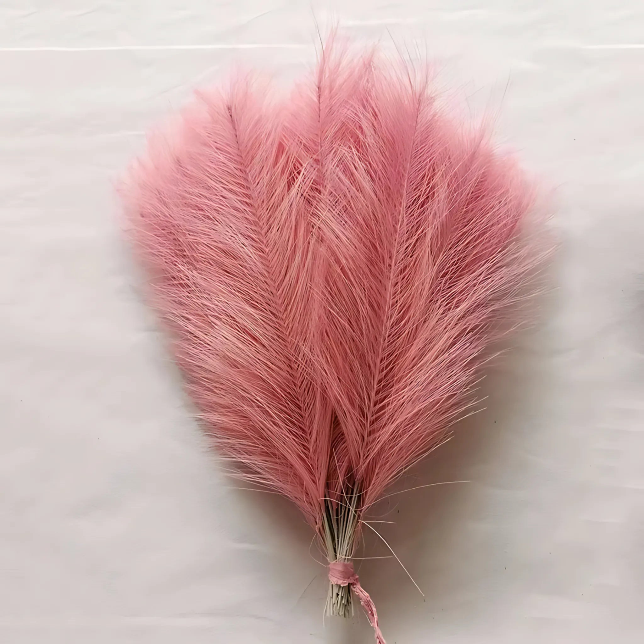 Pampas grass artificial for DIY crafts