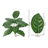 Low-maintenance plant decor
