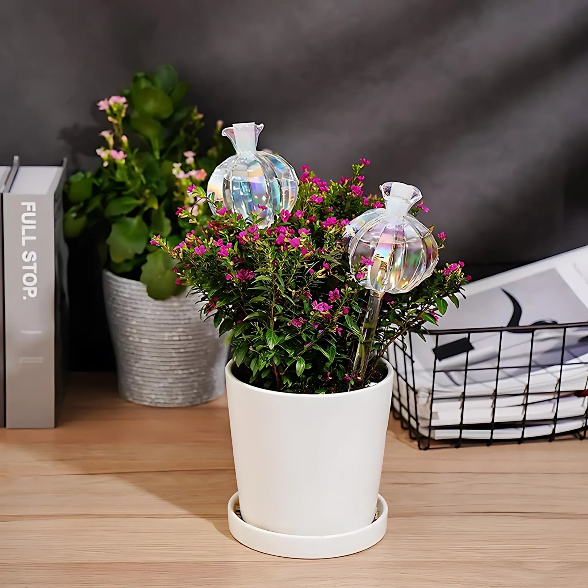 Outdoor plant watering solution