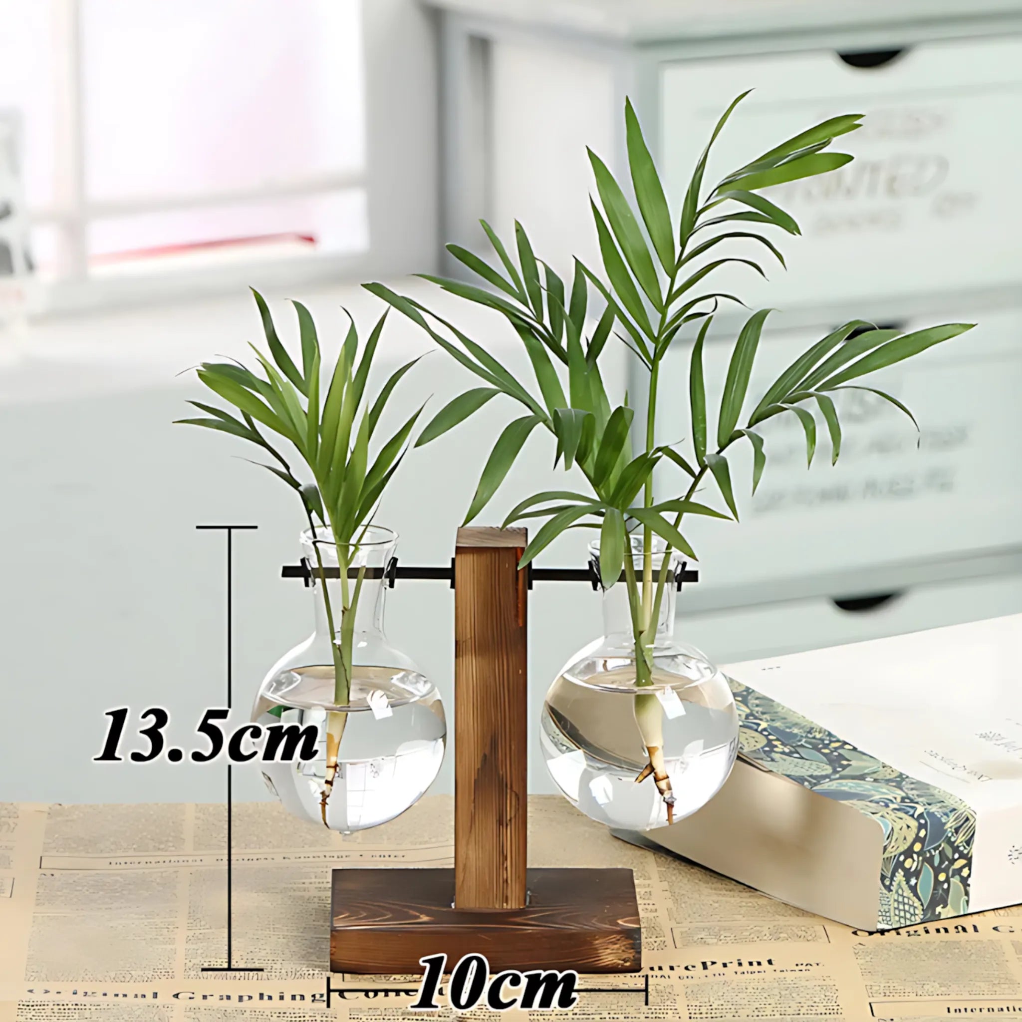 minimalist hydroponic vase