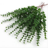 Eucalyptus stems for bouquets