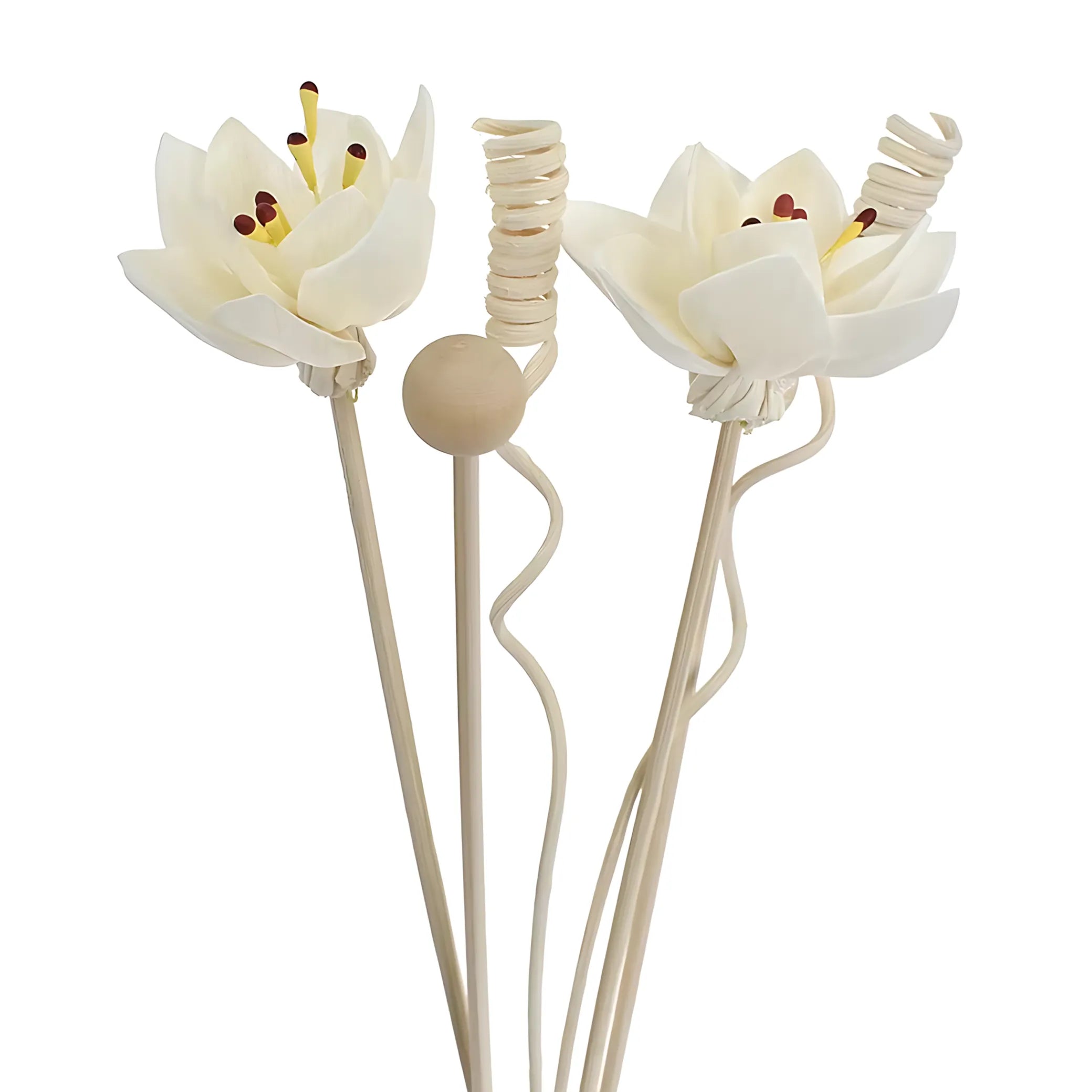 Decorative diffuser sticks