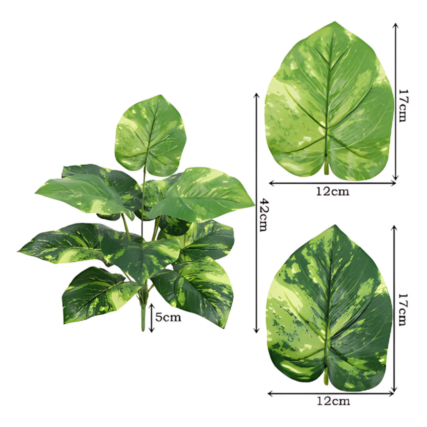 Decorative indoor plant