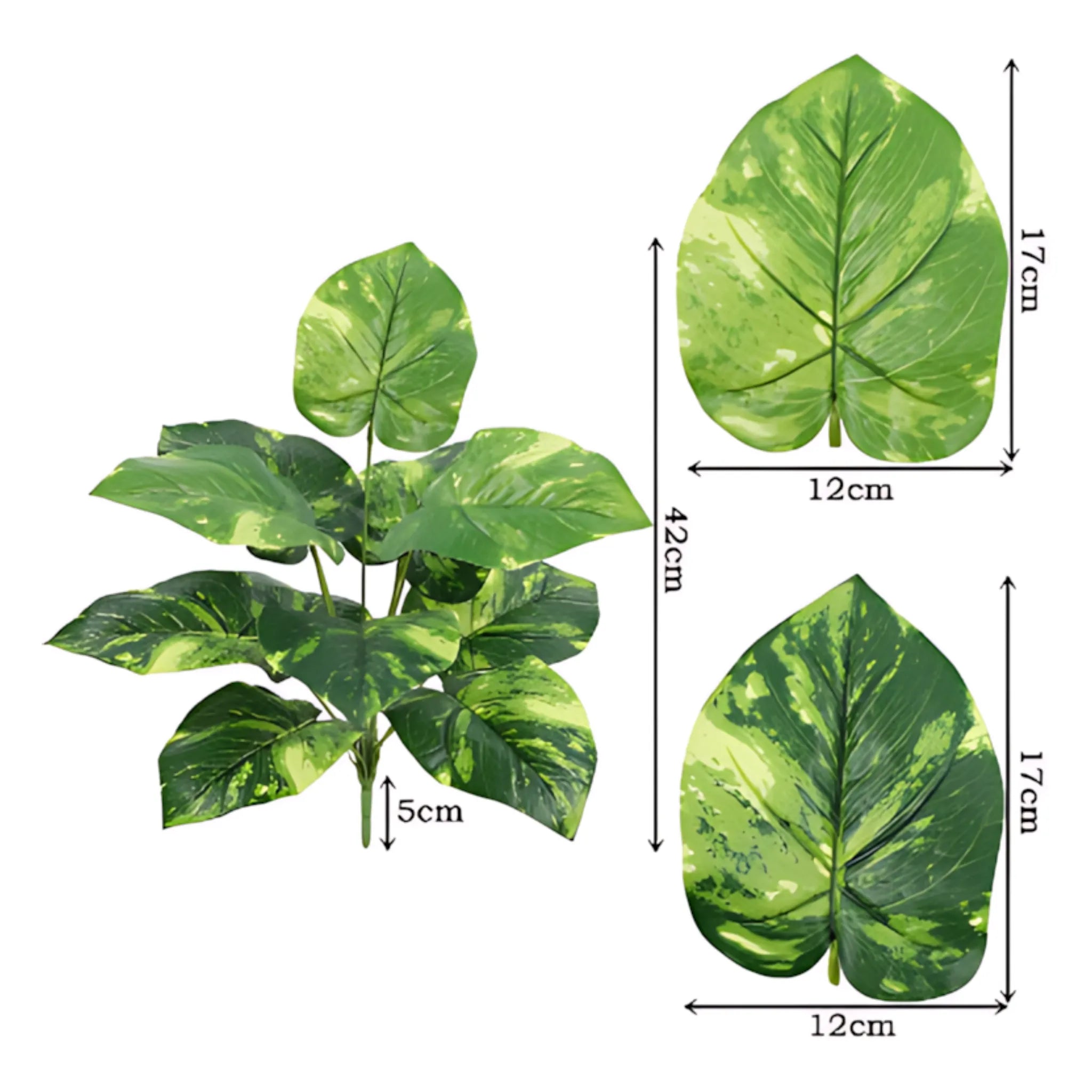 Decorative indoor plant