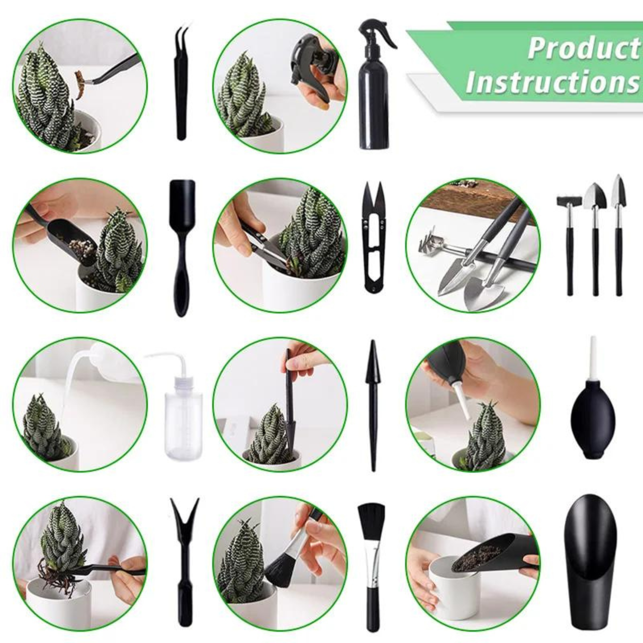 Succulent care kit