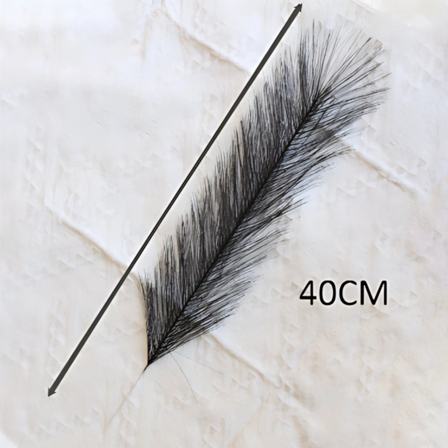 Pampas grass home decoration