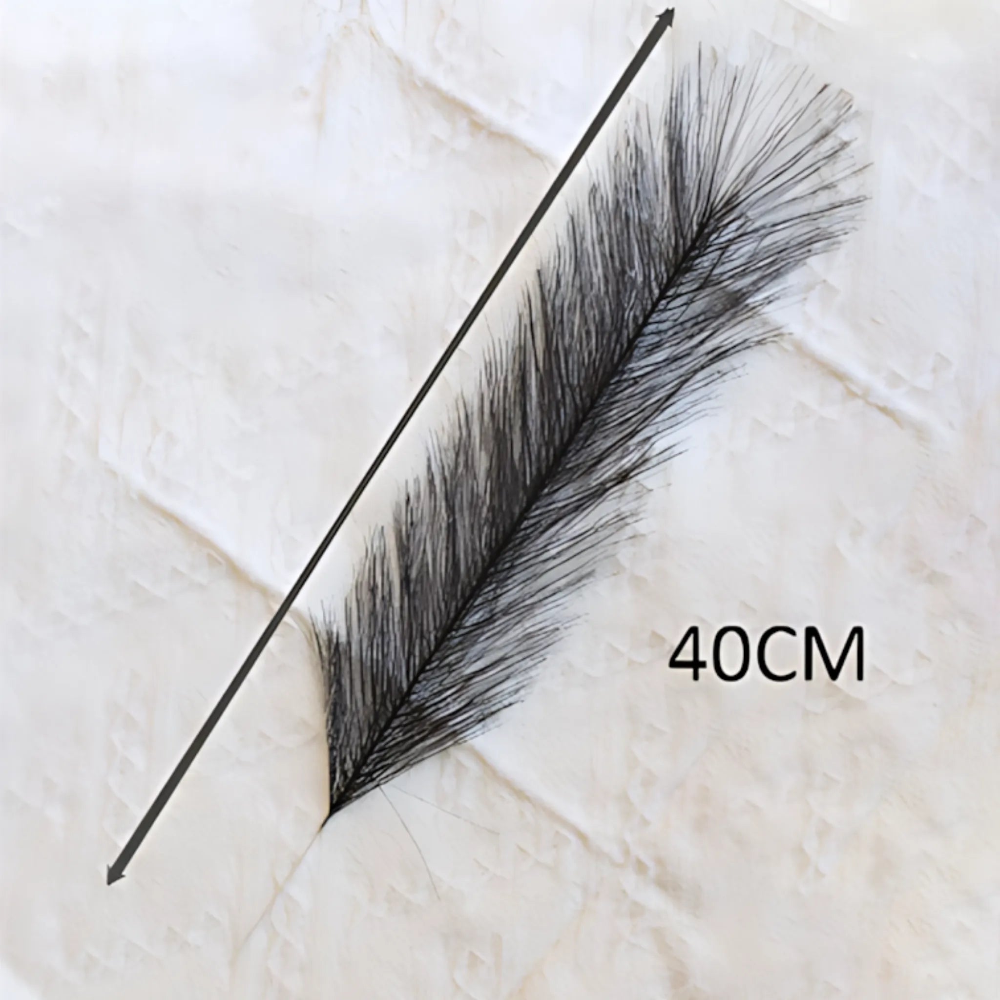 Pampas grass home decoration