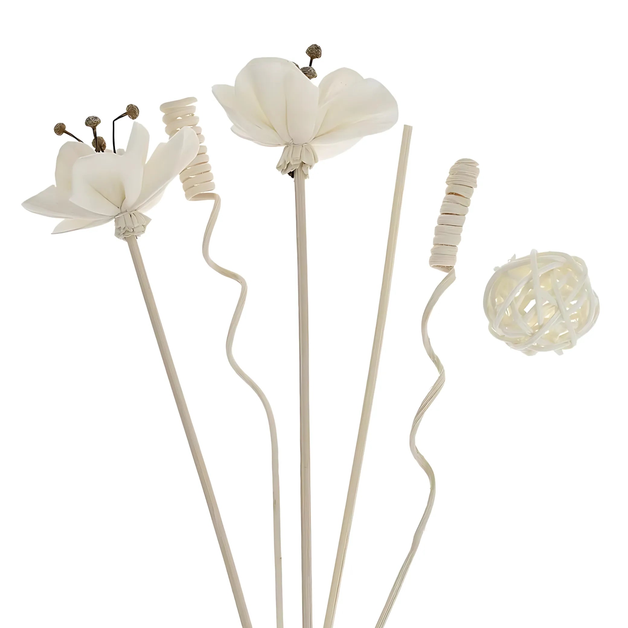 Essential oil diffuser reeds
