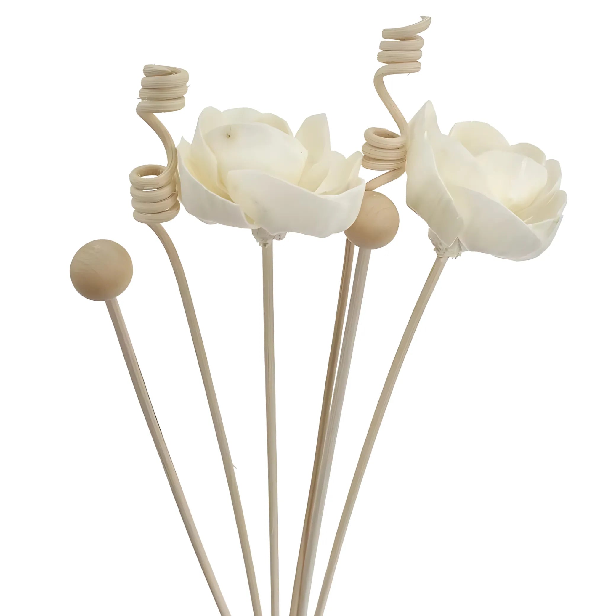 Floral reed diffuser refill
