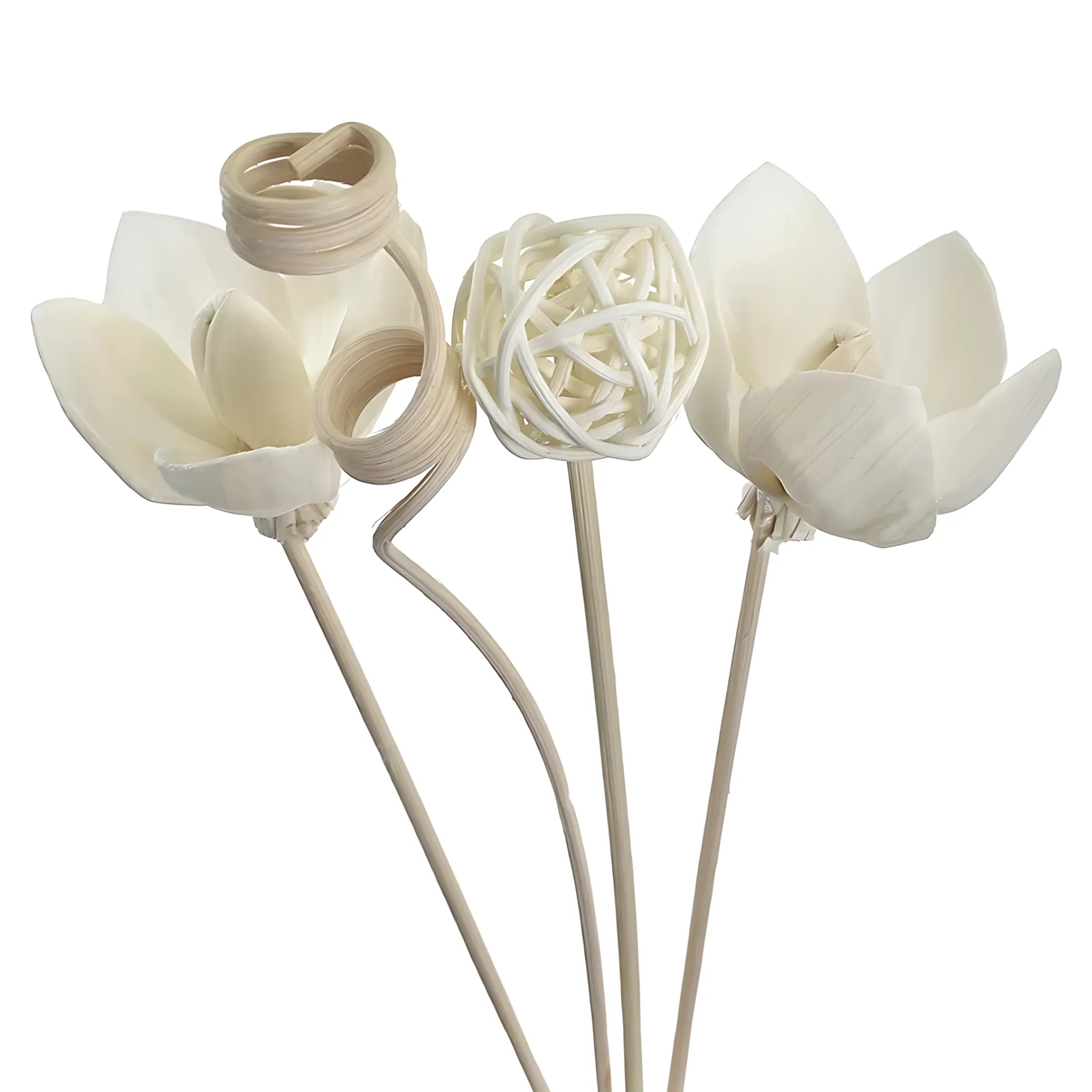 Aromatherapy diffuser sticks