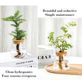 Nordic glass vase
