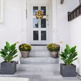 Realistic palm plant