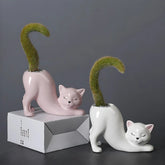 Succulent Planter Cat Design