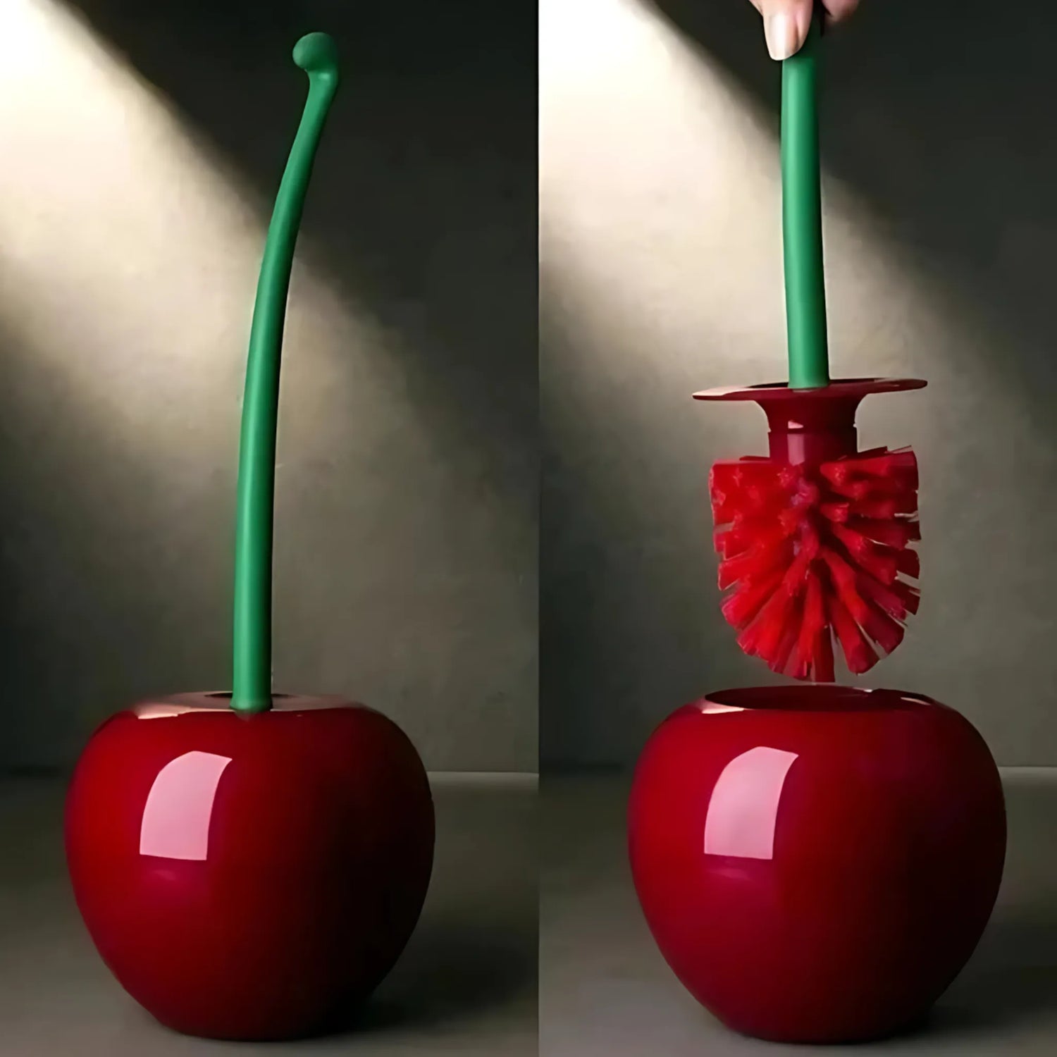 Decorative toilet brush