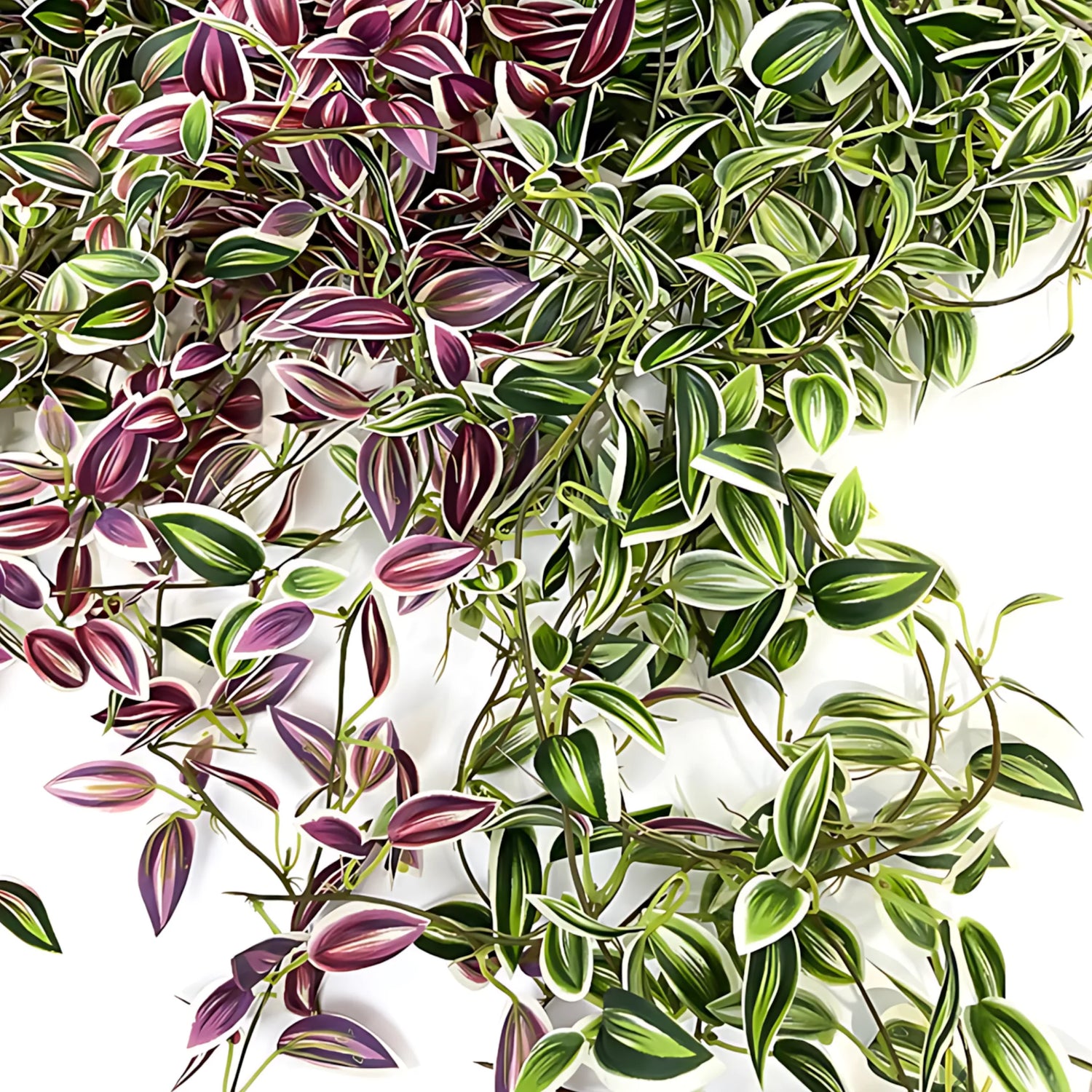 Silk vines for decor