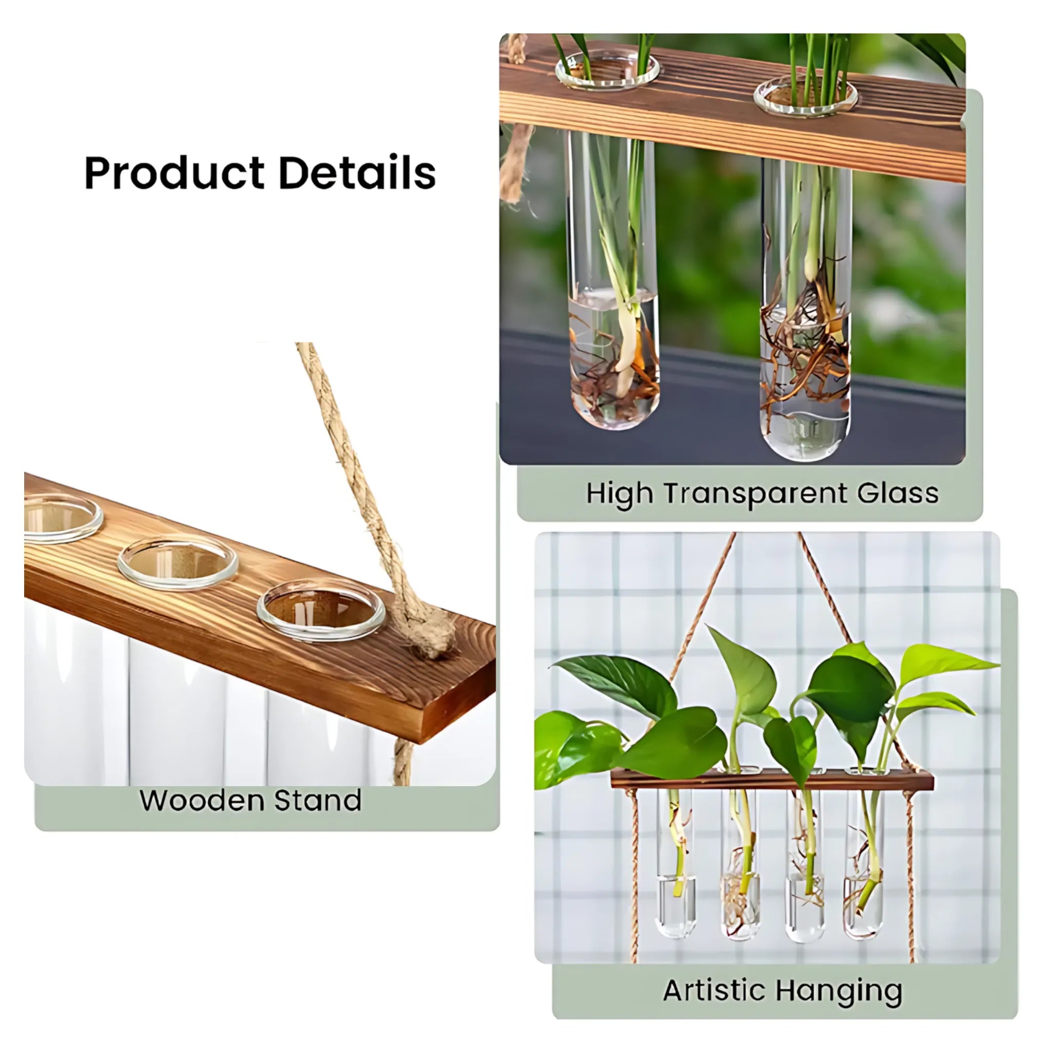 Wall plant propagation station