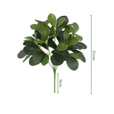 Realistic Dieffenbachia Leaves