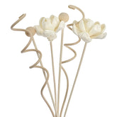 Natural reed diffuser sticks