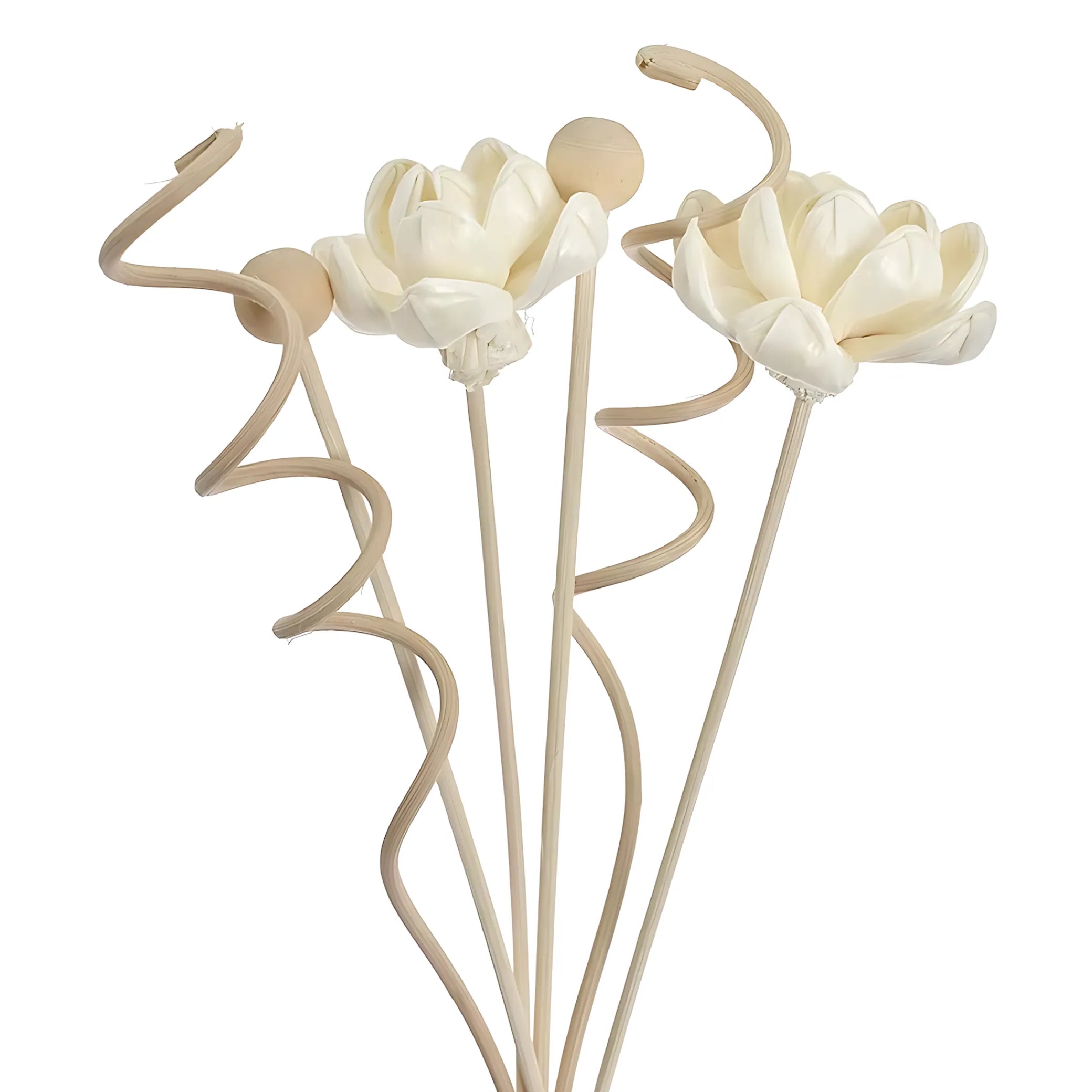 Natural reed diffuser sticks