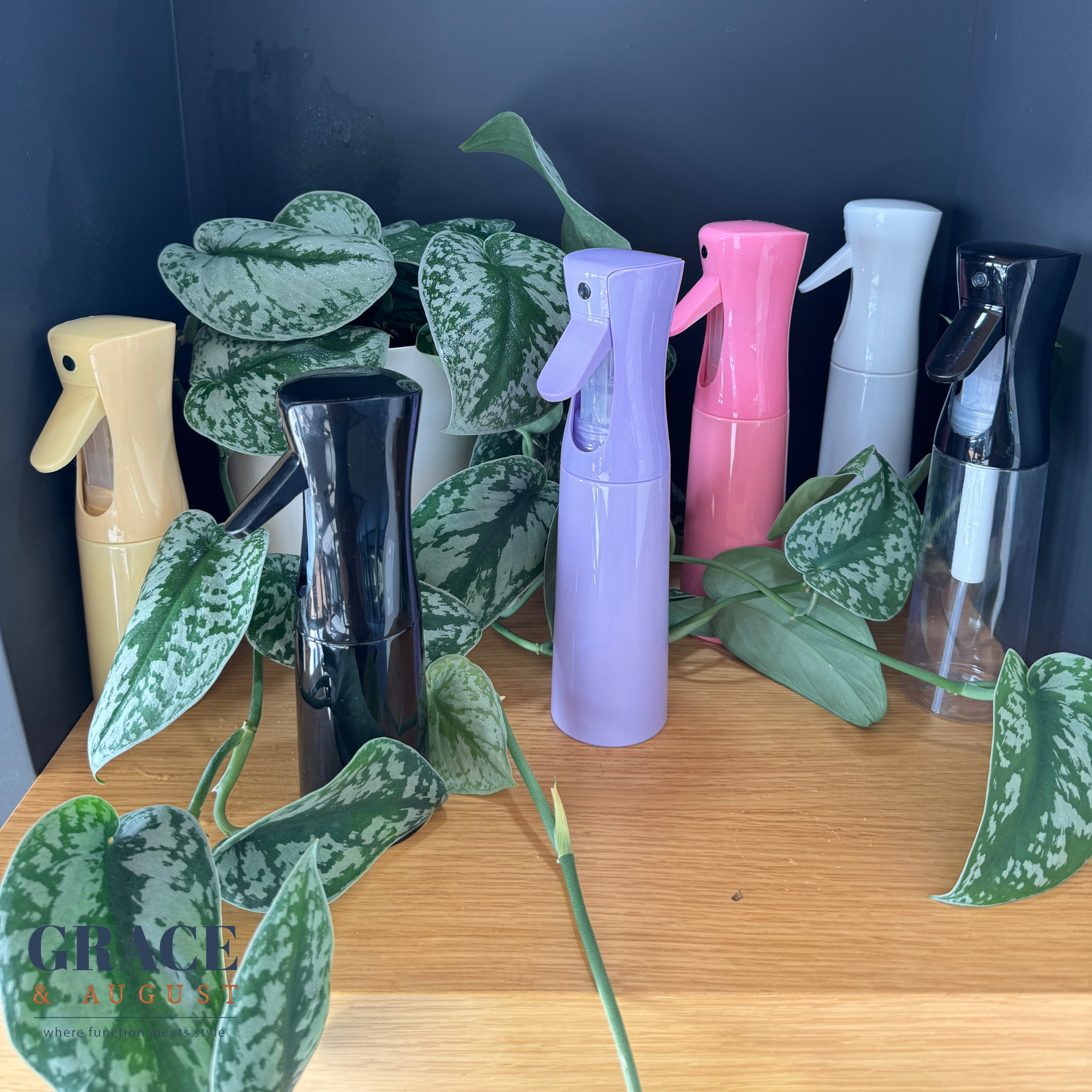 Ultra-fine Mist Spray Bottles -300ml - Clearance