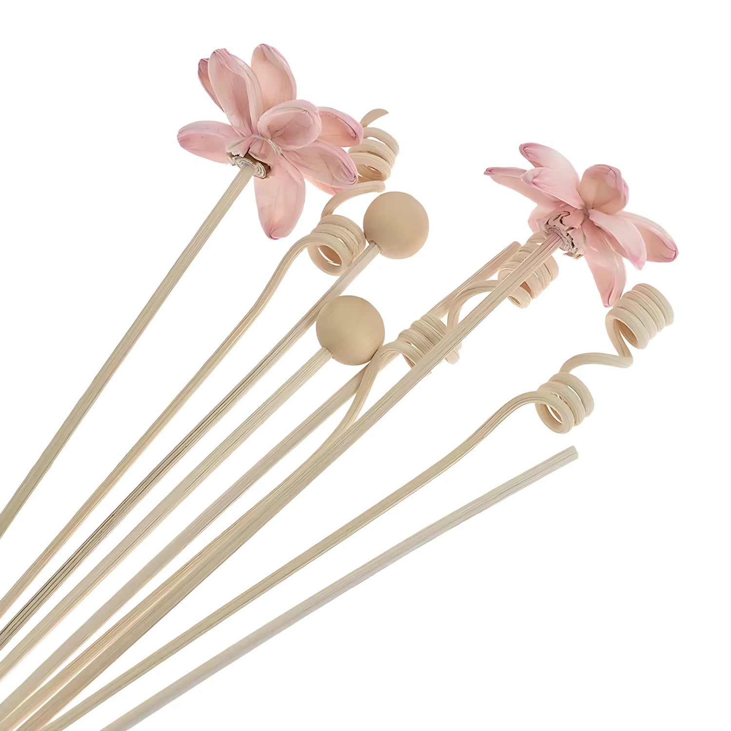 Natural reed diffuser sticks