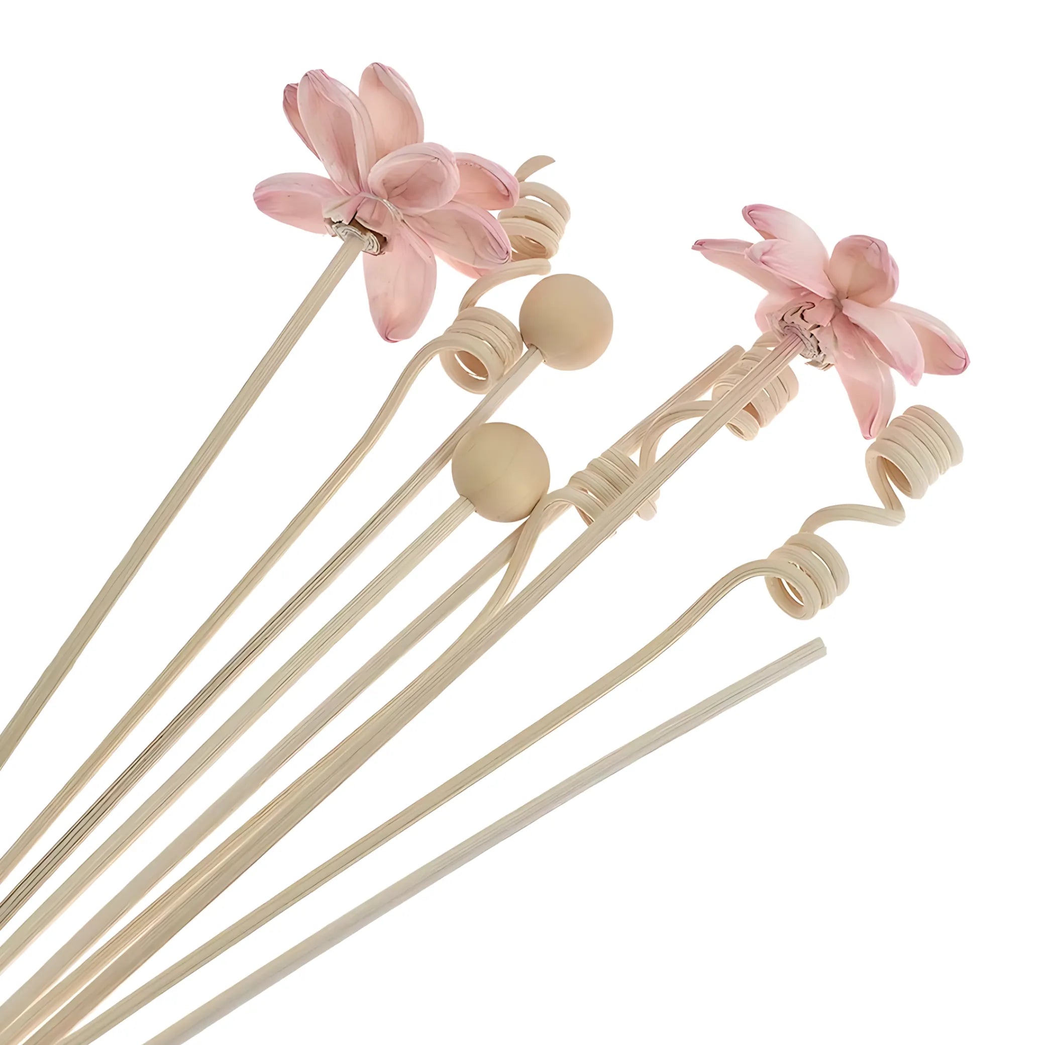 Natural reed diffuser sticks