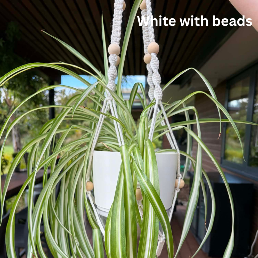 Handmade Macramé Plant Hanger – Limited Stock