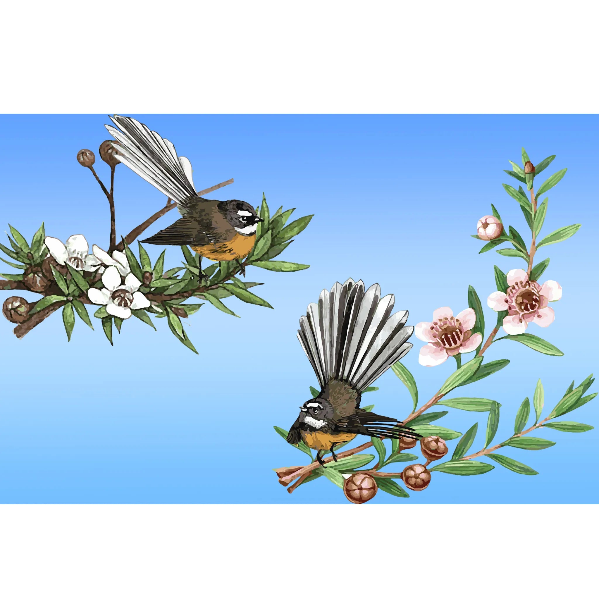 KN95 masks New Zealand