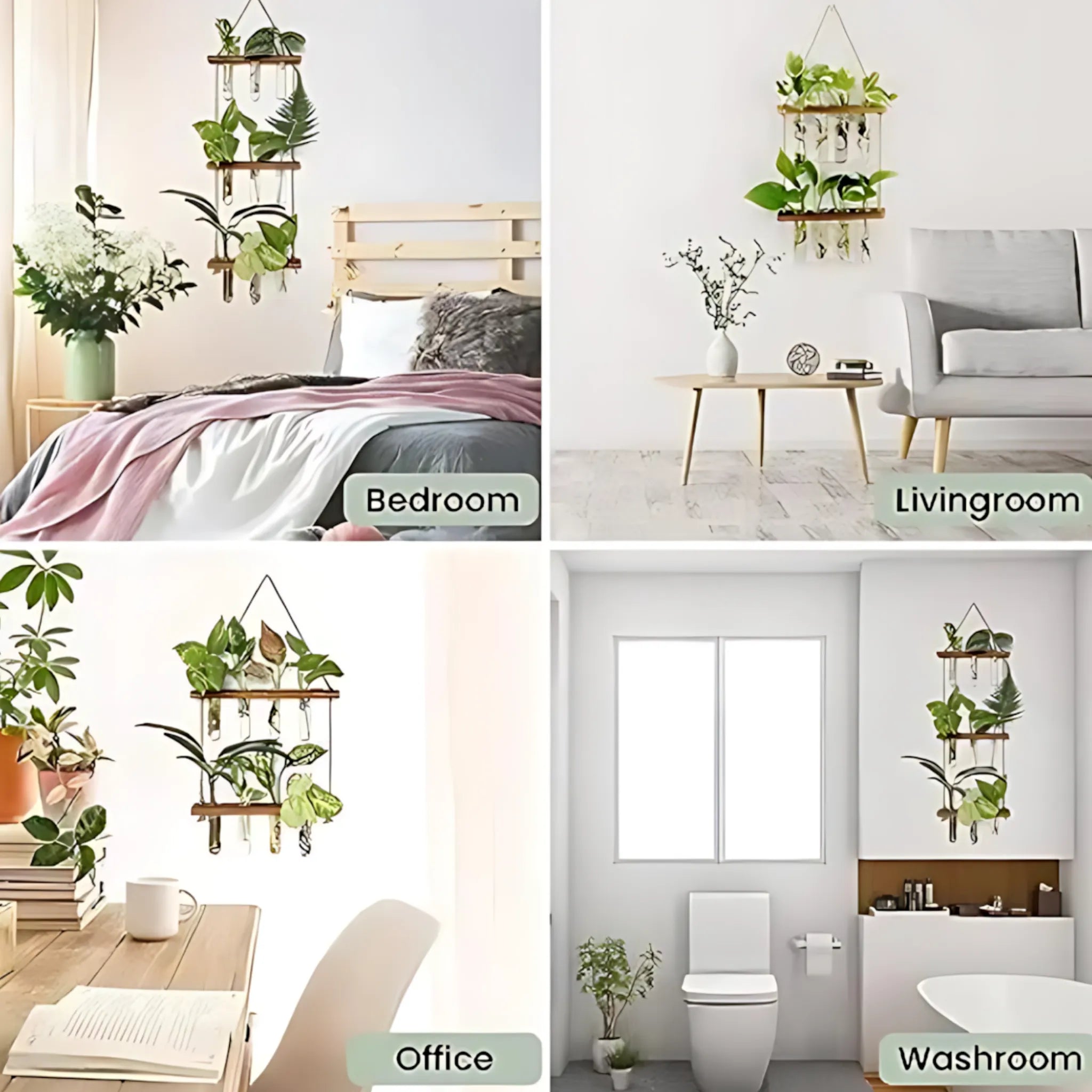 Hydroponic plant holder