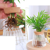 Transparent flower vase