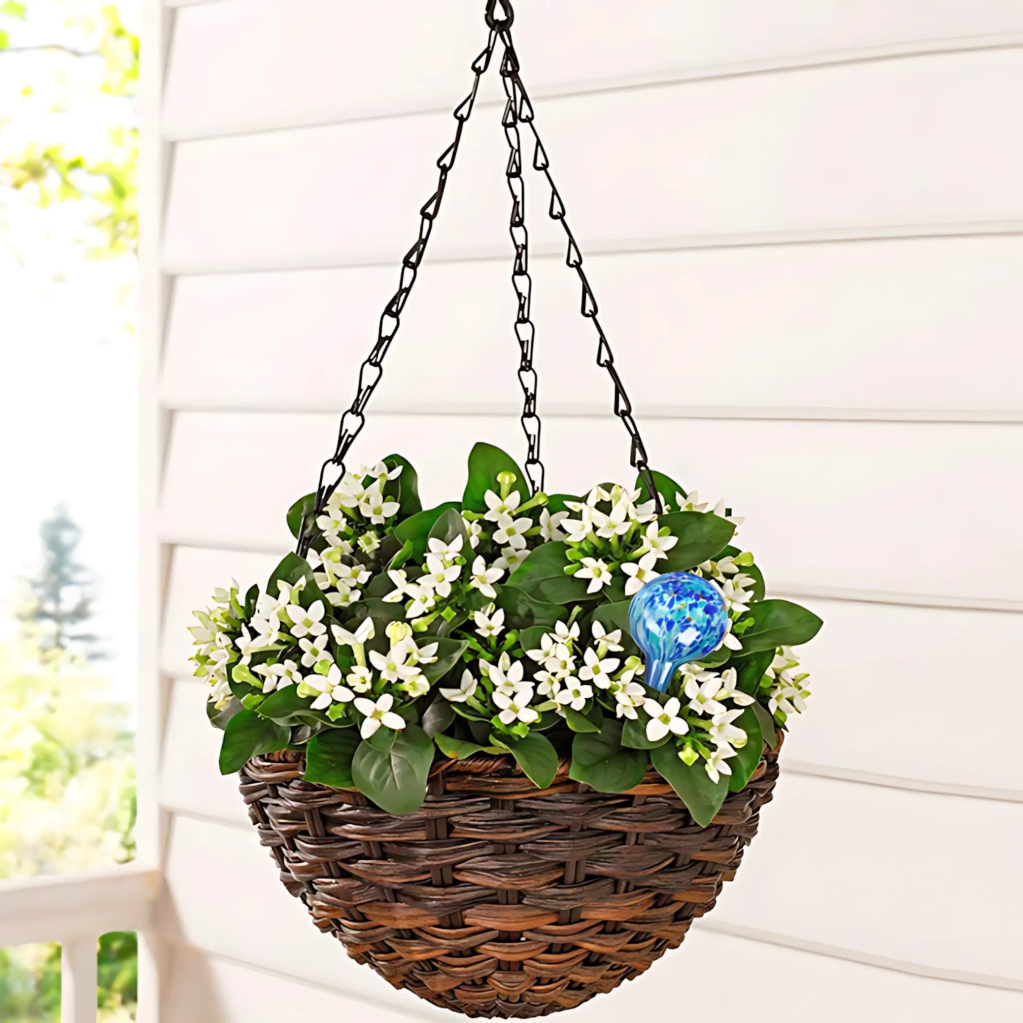 Watering globes for plants