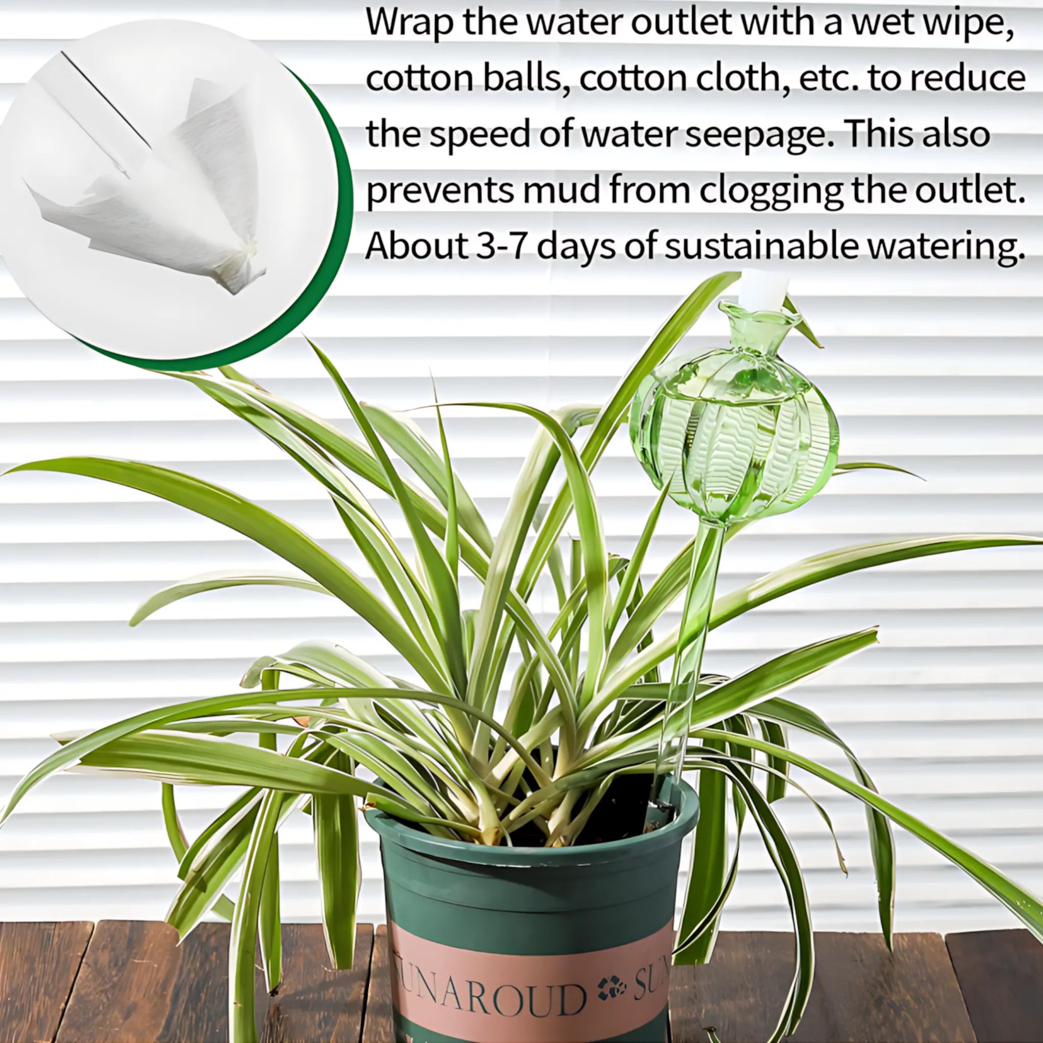 Indoor plant self-watering system