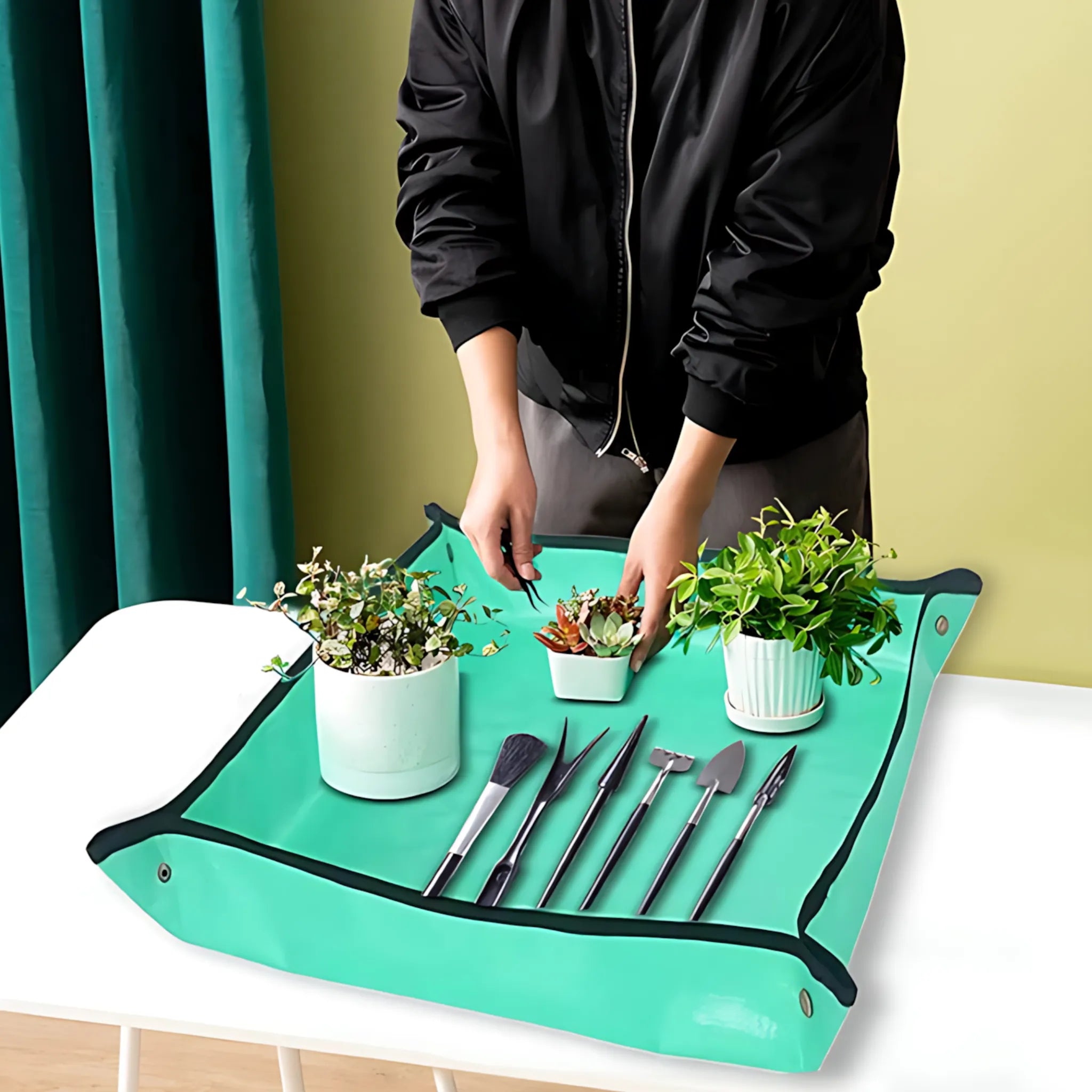 cactus tool set