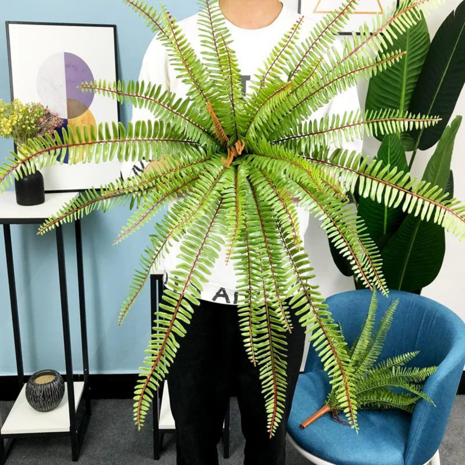 Home Décor fern
