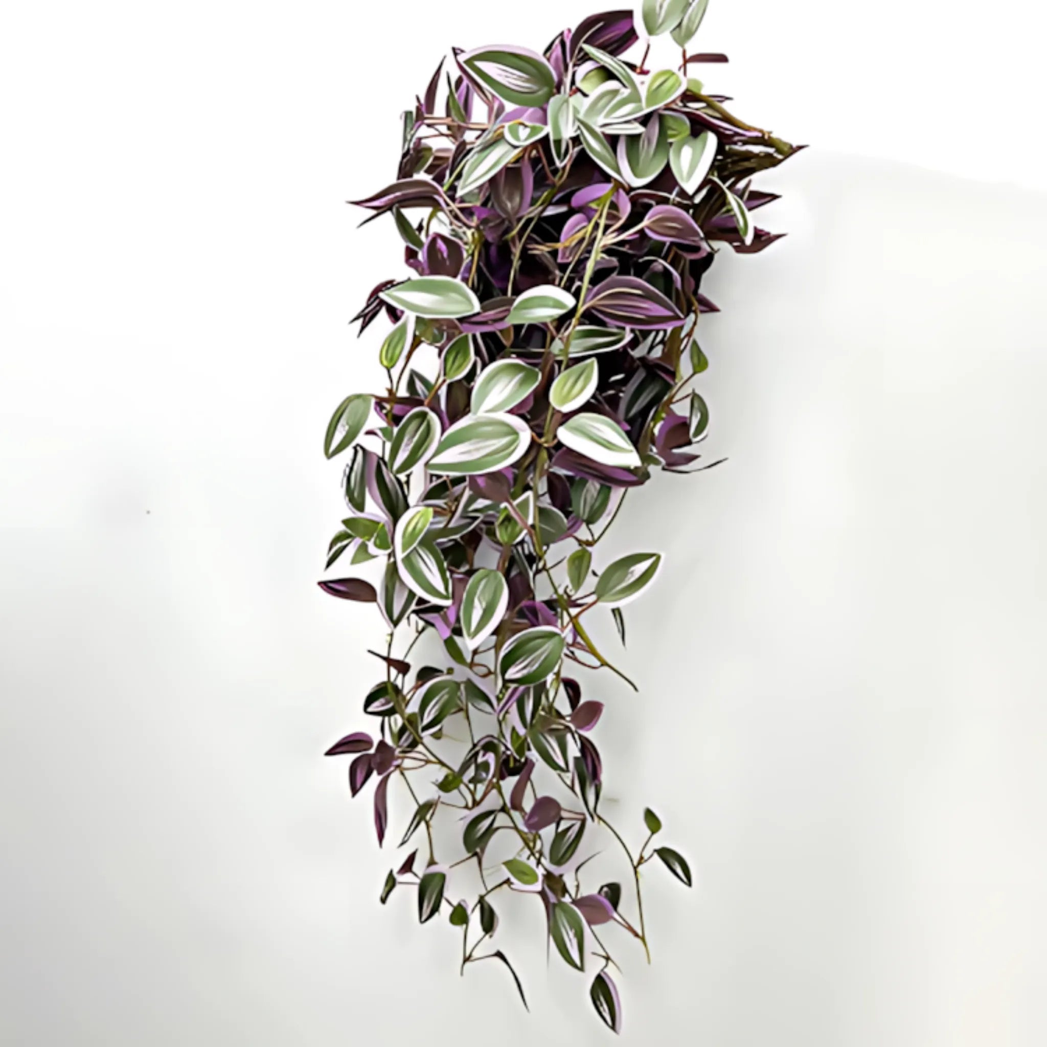 Home decor vines