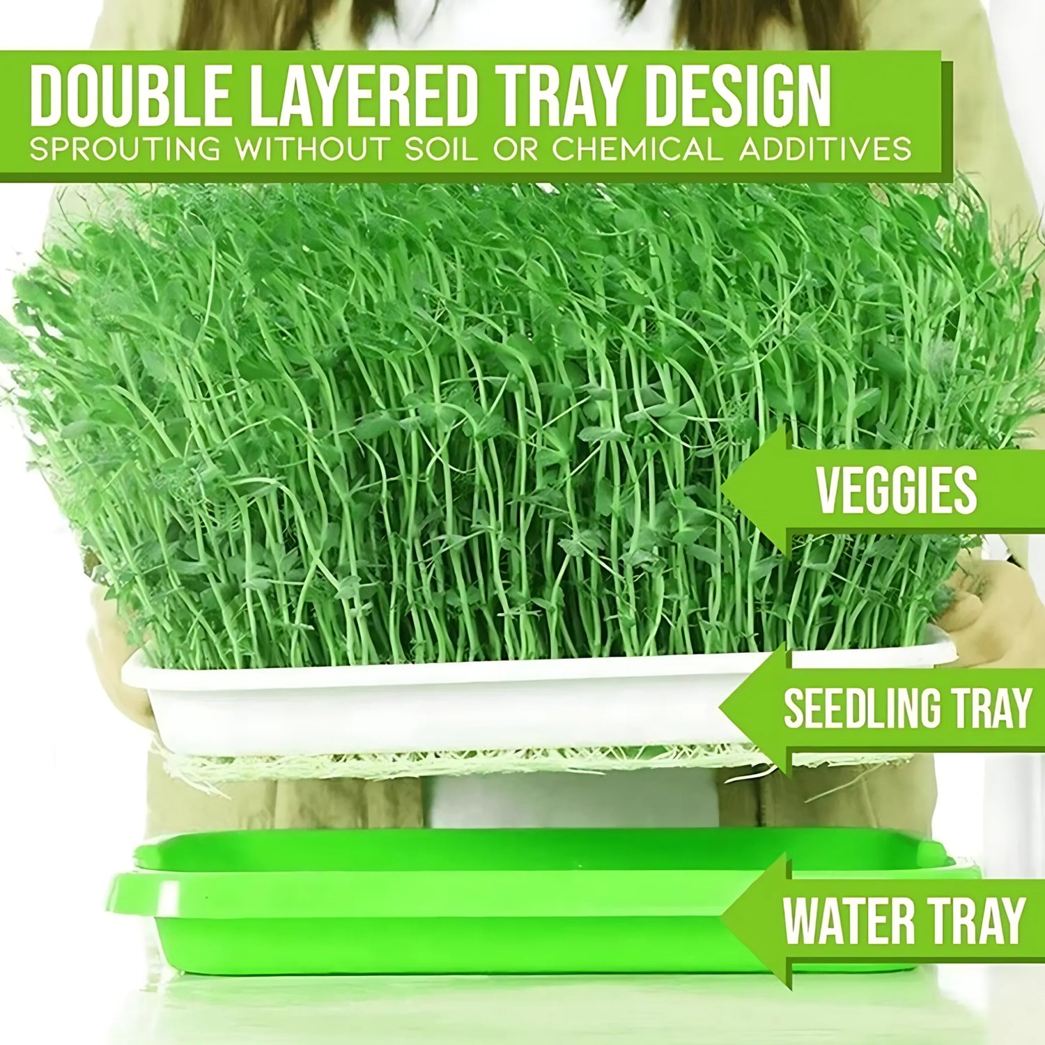 Seed sprouting tray