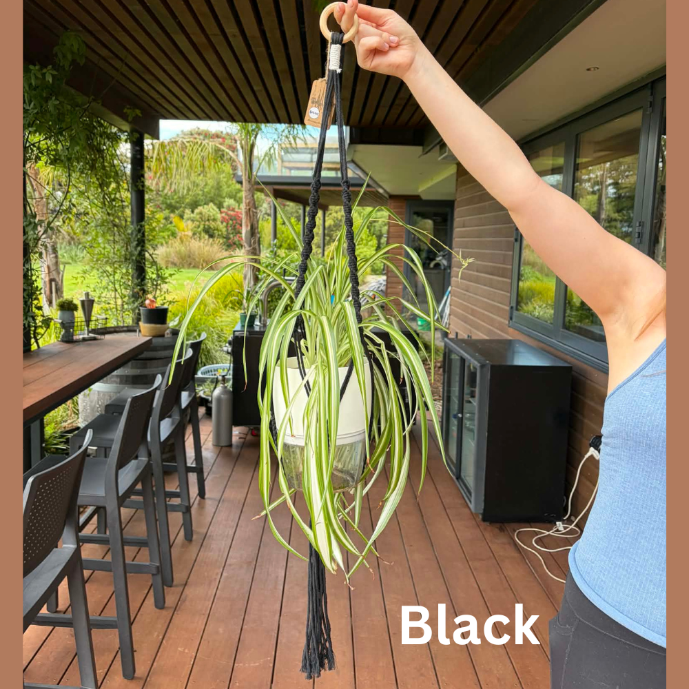 Handmade Macramé Plant Hanger – Limited Stock