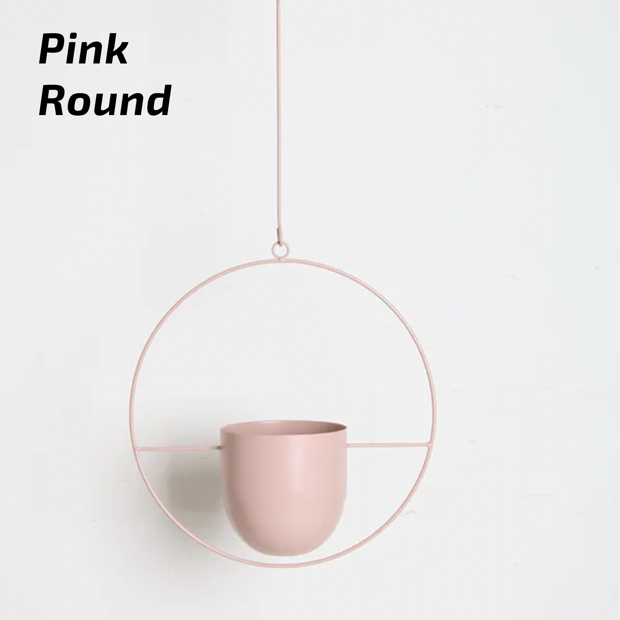 Elegant plant display