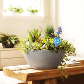Houseplant watering system