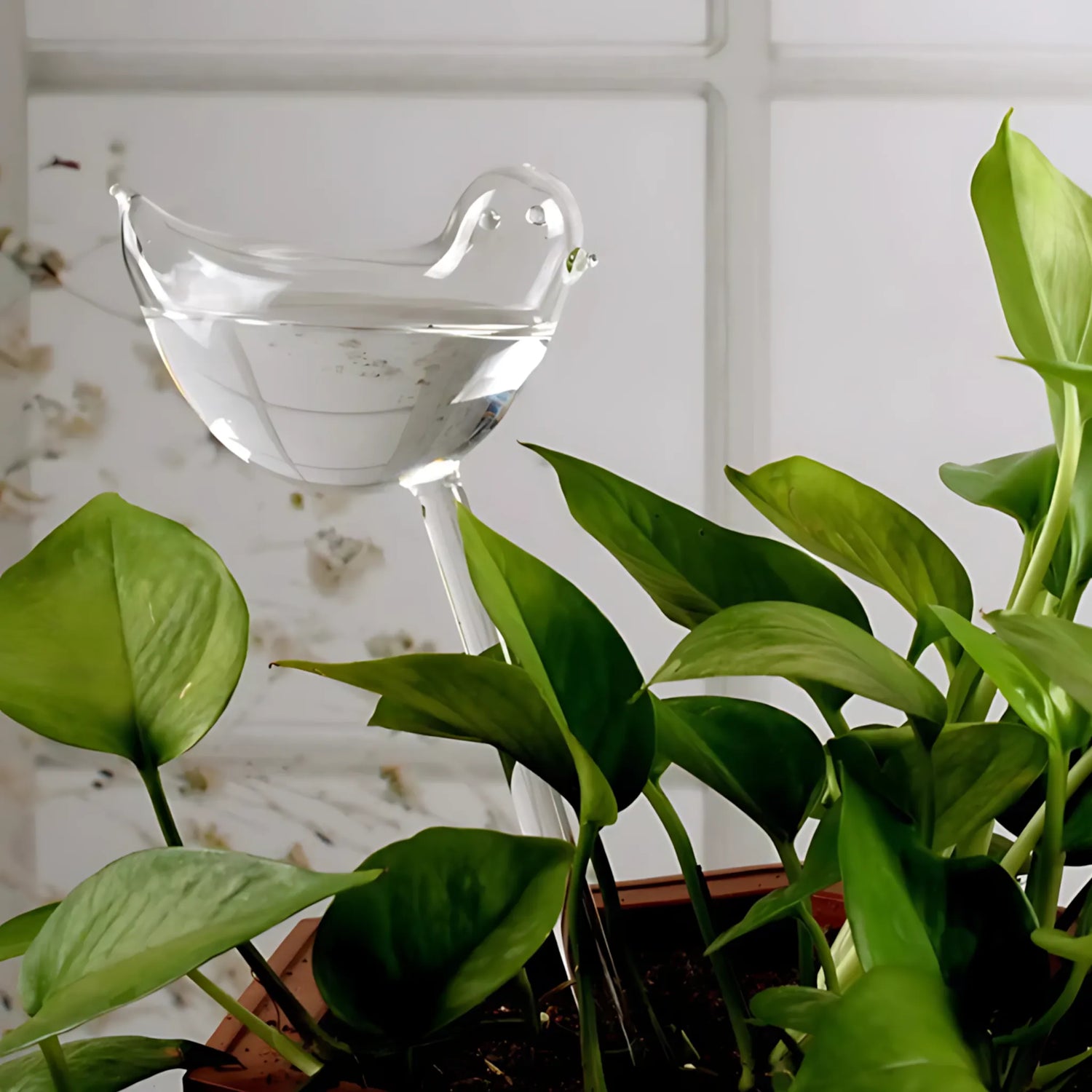 Automatic plant waterer