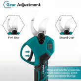 Professional pruning shears