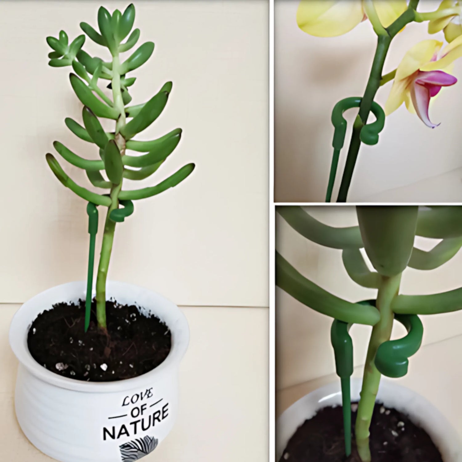 Plastic plant holders