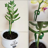 Plastic plant holders