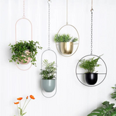 Durable plant hanger