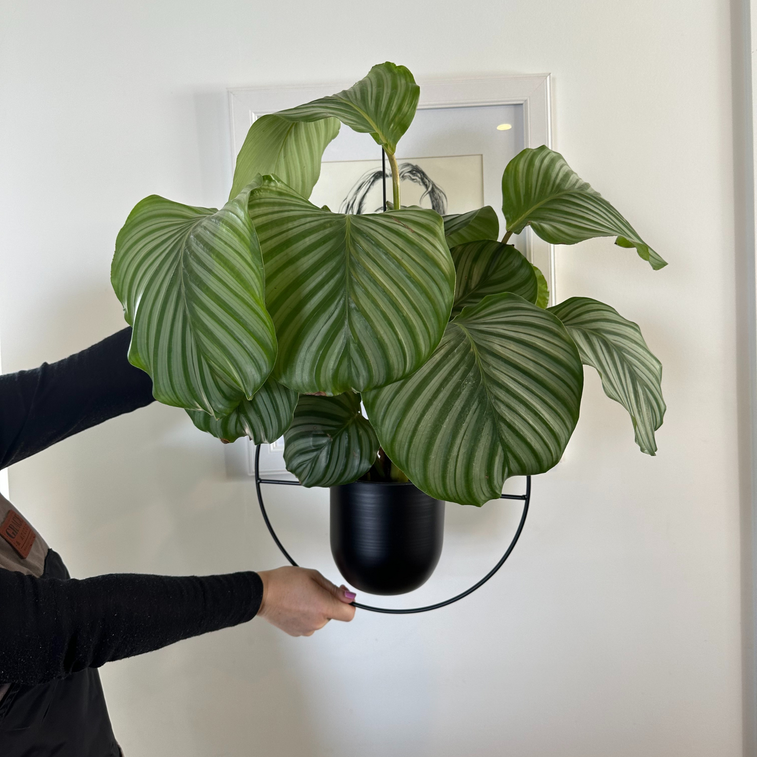 Nordic style plant hanger