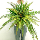 Plastic fern Greenery for Office