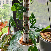 Plant support pole
